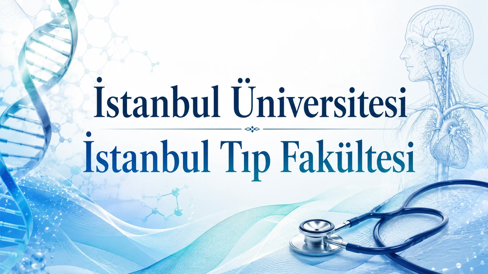 İstanbul Üniversitesi-İstanbul Tıp Fakültesi