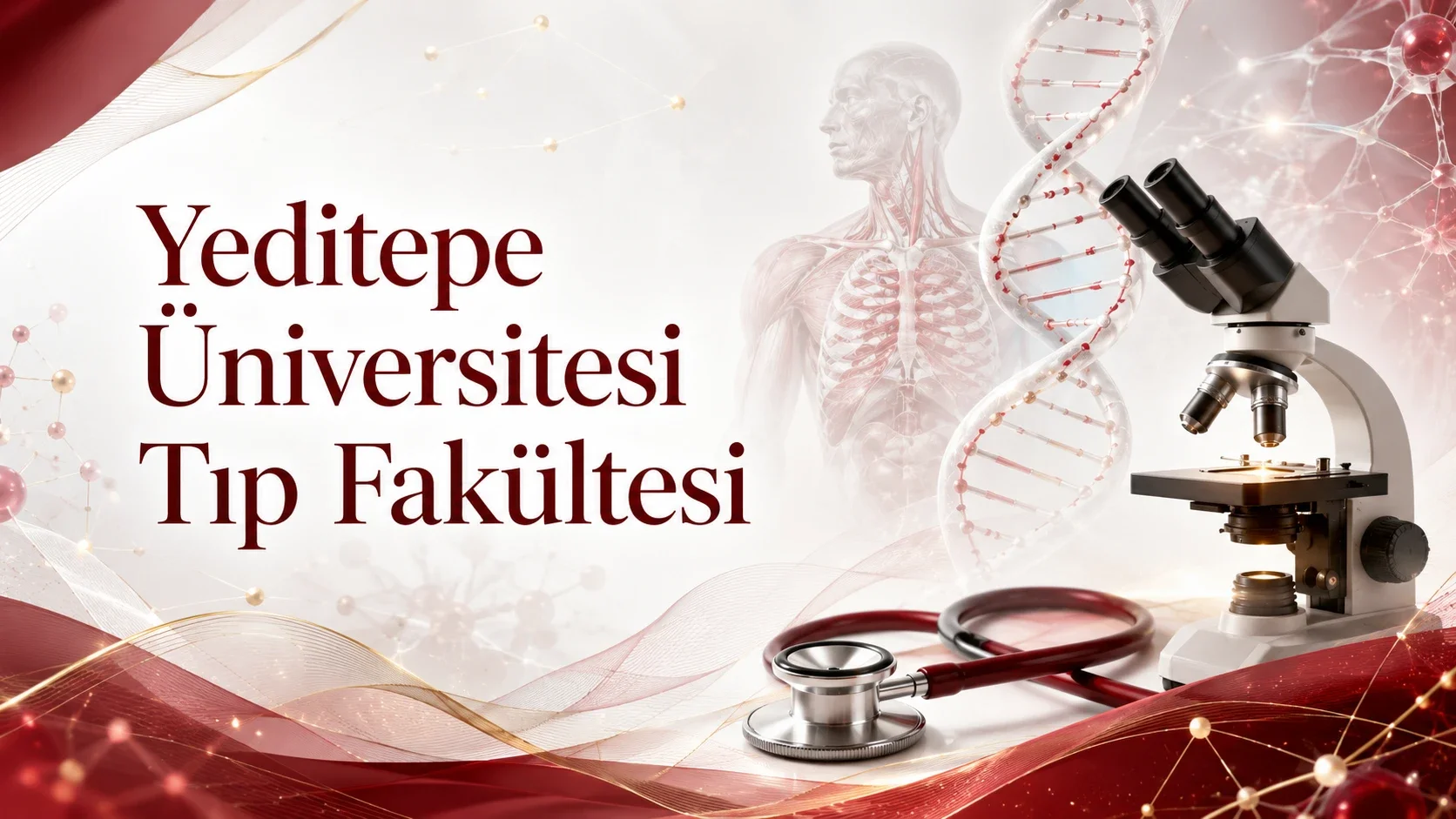 Yeditepe Üniversitesi Tıp Fakültesi